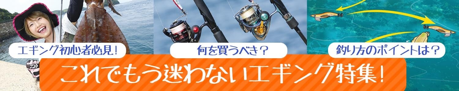 初心者必見！これでもう迷わないエギング！