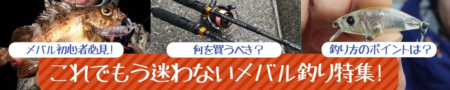 これでもう迷わない！メバル釣り特集！