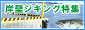 �ݕǃW�M���O���W