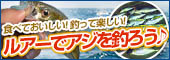 ルアーでアジを釣ろう♪