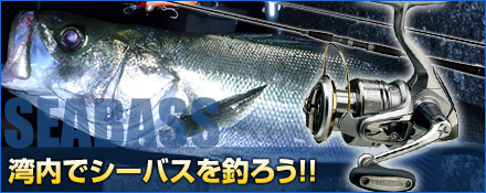 湾内でシーバスを釣ろう!!