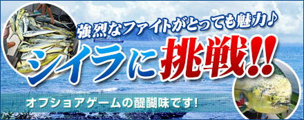 シイラに挑戦！！