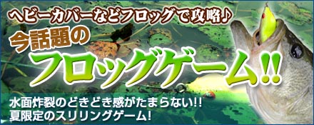 今話題のフロッグゲーム！！