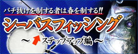 シーバスフィッシング★～ステップアップ編～ 