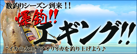 爆釣！！エギング！！