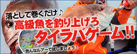 高級魚を釣り上げろ！タイラバゲーム！