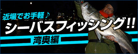 近場でお手軽♪シーバスフィッシング！！湾奥編