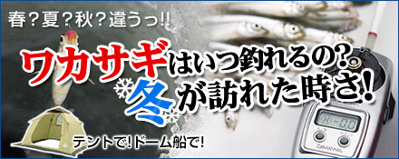 ワカサギはいつ釣れる？冬が訪れた時さ！