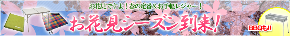 お花見ですよ!春の定番&お手軽レジャー!