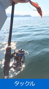 タックル