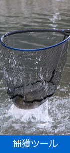 捕獲ツール