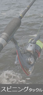 スピニングタックル