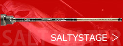 SALTYSTAGE(\eB[Xe[W)