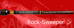 Rock-Sweeper(bNXC[o[)