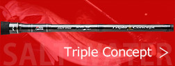 Triple Concept(gvRZvg)