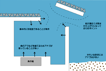 アフター５はアナゴ釣り アウトドア フィッシング ナチュラム