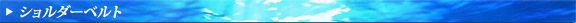 �V�����_�\�x���g