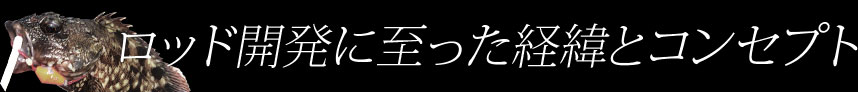 ロッド開発に至った経緯とコンセプト