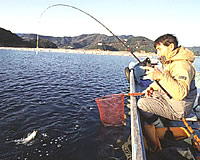 ナチュラム チヌのかかり釣り特集