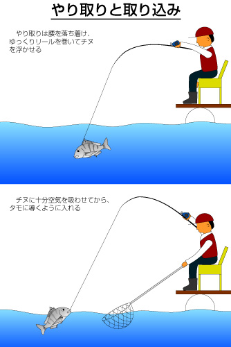 ナチュラム チヌのかかり釣り特集