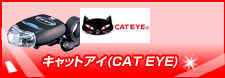 �L���b�g�A�C(Cat eye)