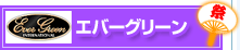 �G�o�[�O���[��(EVERGREEN�j
