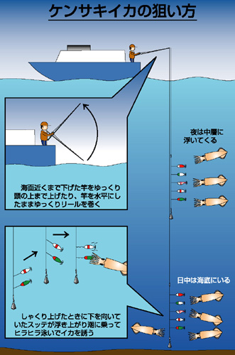 船のイカ釣り特集 アウトドア フィッシング ナチュラム