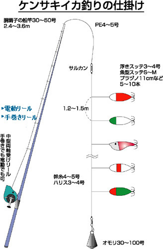 船のイカ釣り特集 アウトドア フィッシング ナチュラム