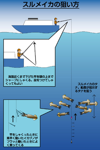 船のイカ釣り特集 アウトドア フィッシング ナチュラム