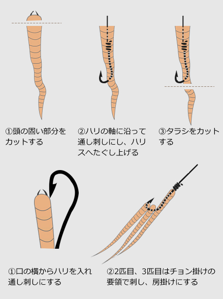 ナチュラム 投げ釣りでずっしりカレイ