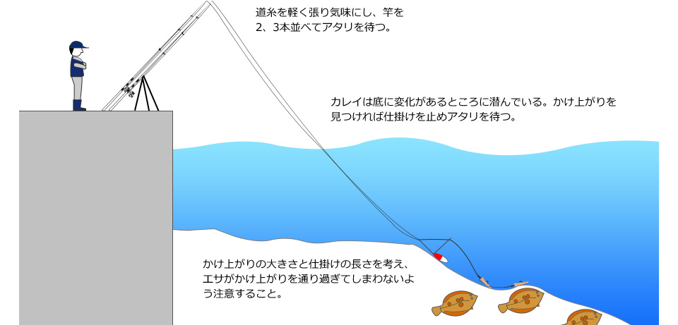 ナチュラム 投げ釣りでずっしりカレイ