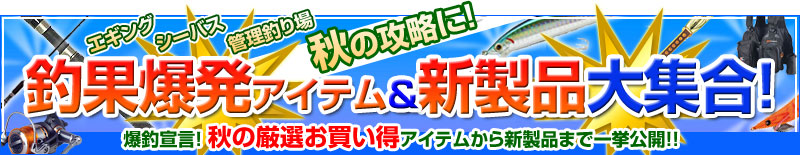 �މʔ����A�C�e�����V���i��W��!!