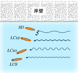 LC Series
