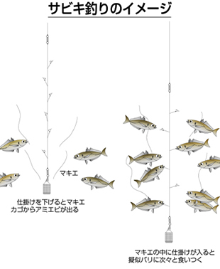 サビキ釣り特集 アウトドア フィッシング ナチュラム