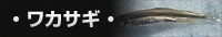 ワカサギ