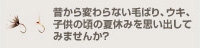 昔から変わらない毛ばり、ウキ、
子供の頃の夏休みを思い出して
みませんか?