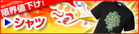 �V���c