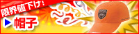 �X�q