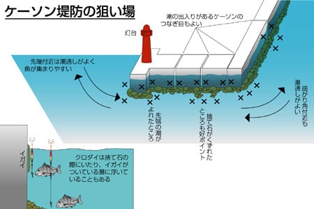 電気ウキでクロダイを釣ろう 夜釣り特集 アウトドア フィッシング ナチュラム