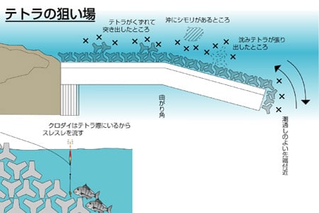 電気ウキでクロダイを釣ろう 夜釣り特集 アウトドア フィッシング ナチュラム